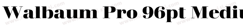 Walbaum Pro 96pt Medium字体转换